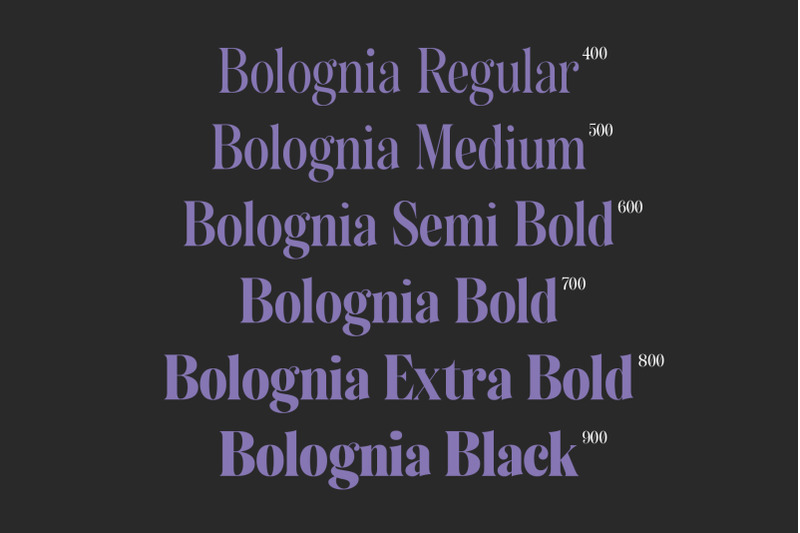 bolognia-classic-serif
