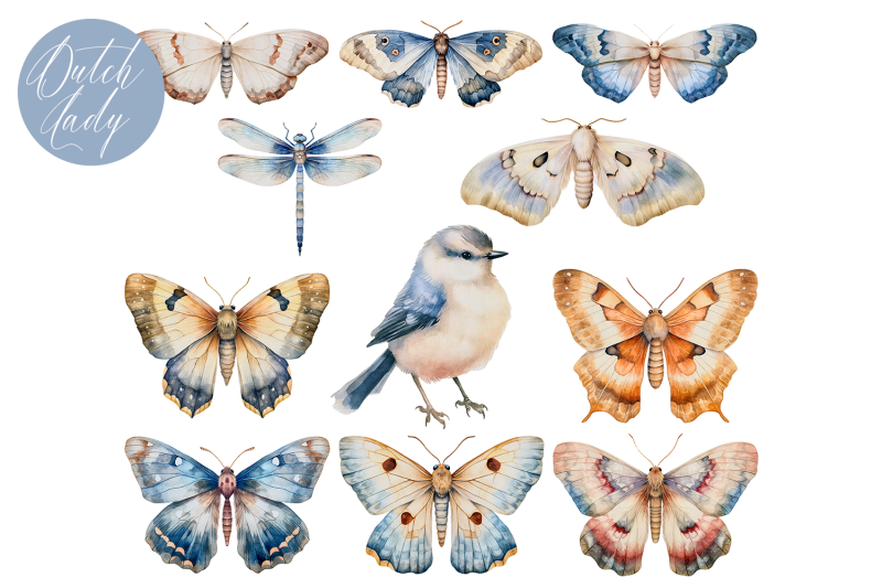 watercolor-summer-night-moths-clipart-set