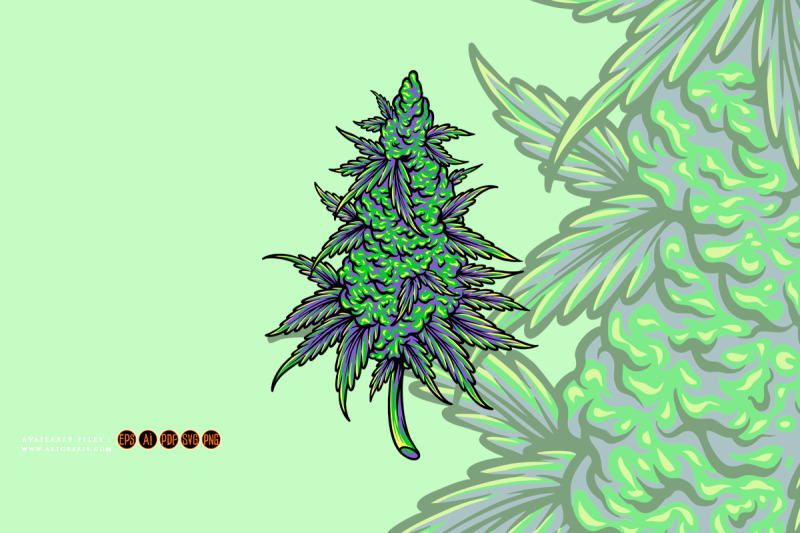 cannabis-sativa-bud-medicinal-hemp-plant-illustrations