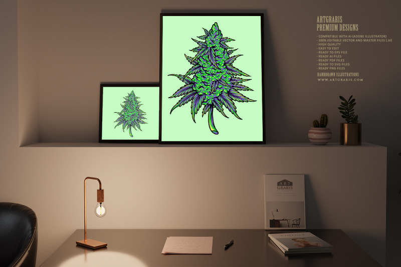 cannabis-sativa-bud-medicinal-hemp-plant-illustrations