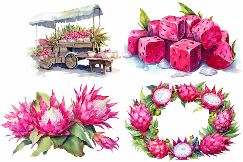 dragon-fruit-watercolor-collection