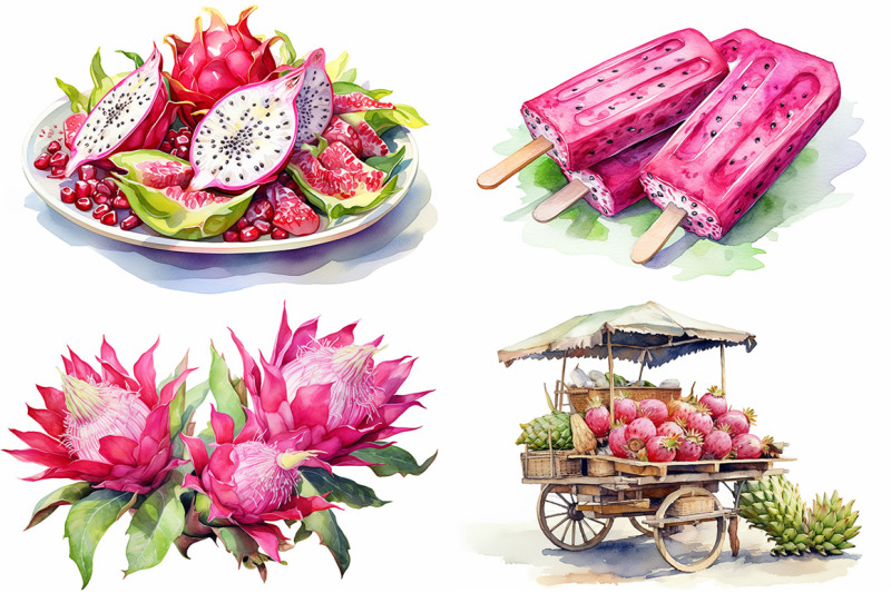 dragon-fruit-watercolor-collection