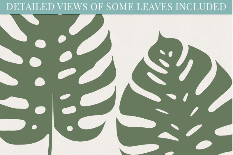 big-leaf-shapes-svg-collection