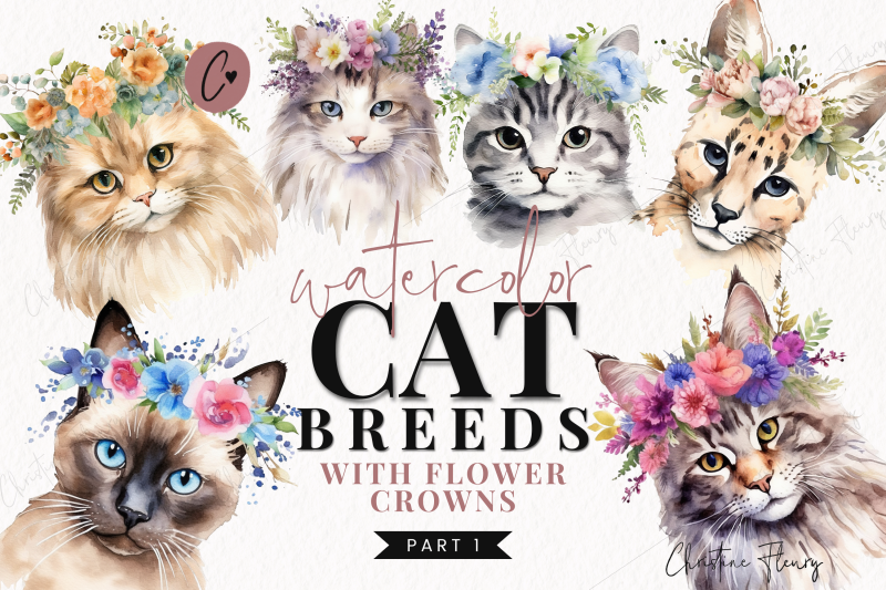 watercolor-cat-breeds-with-flower-crowns