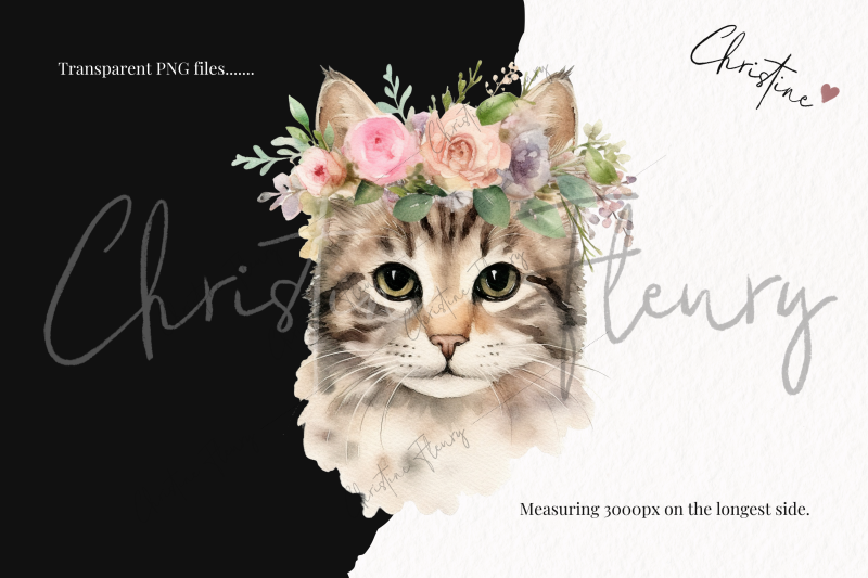 watercolor-cat-breeds-with-flower-crowns