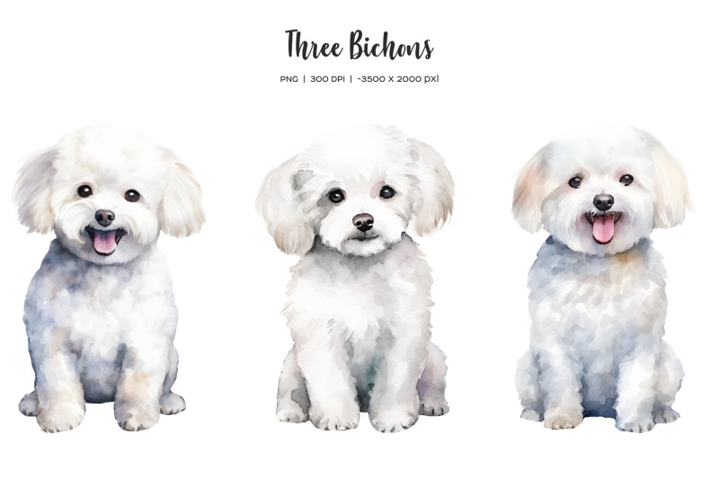 watercolor-christmas-bichon-clipart-xmas-dogs-clip-art