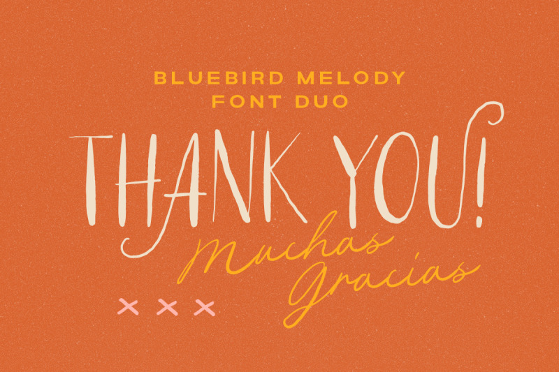 bluebird-melody-organic-font-duo