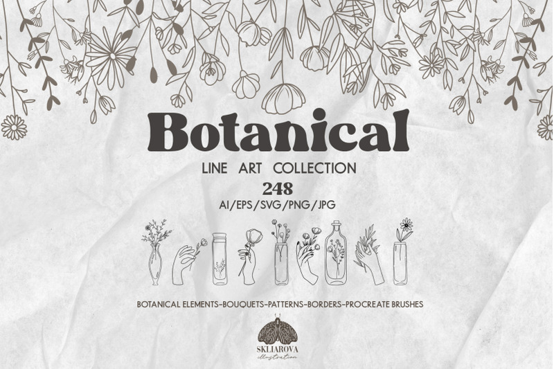 botanical-line-art-collection