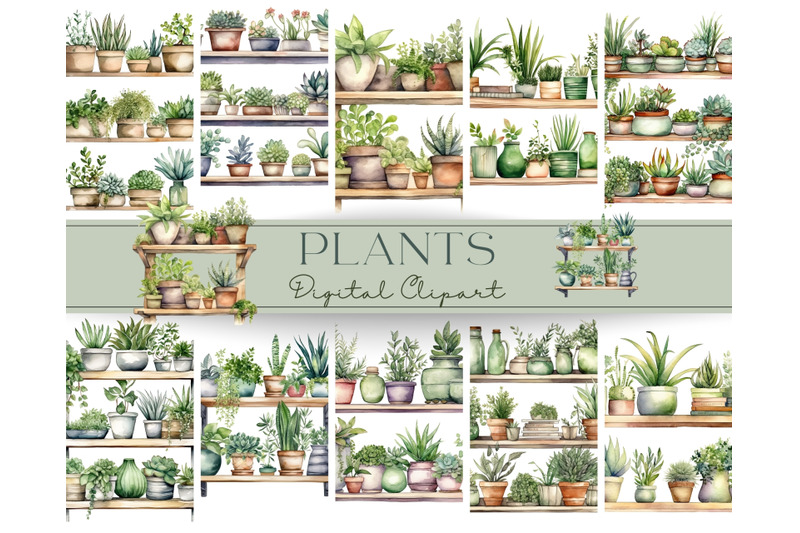 plants-on-shelves-watercolor-clipart