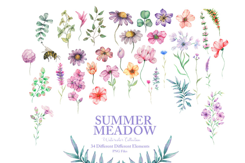 summer-meadow-watercolor-collection