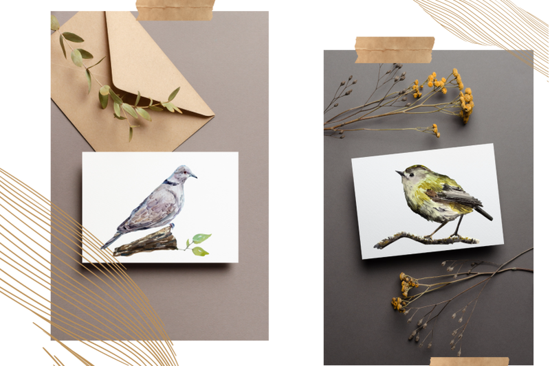 watercolor-birds-clip-arts-and-cards