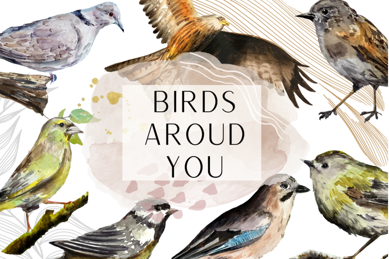 watercolor-birds-clip-arts-and-cards