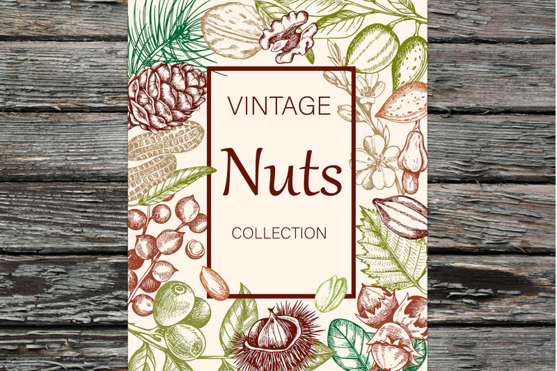 vintage-nuts-design-kit