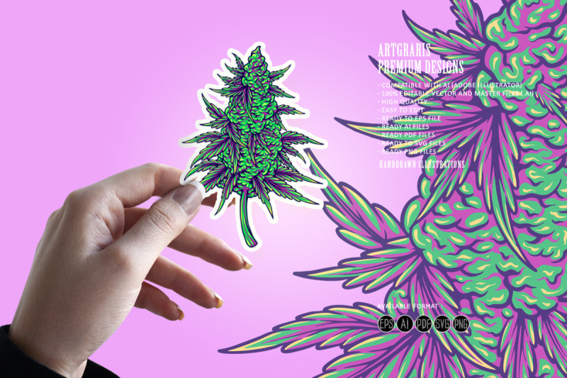 botanical-style-cannabis-indica-flower-bud