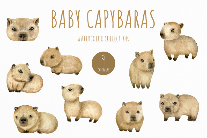 baby-capybaras-watercolor-set