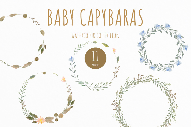 baby-capybaras-watercolor-set