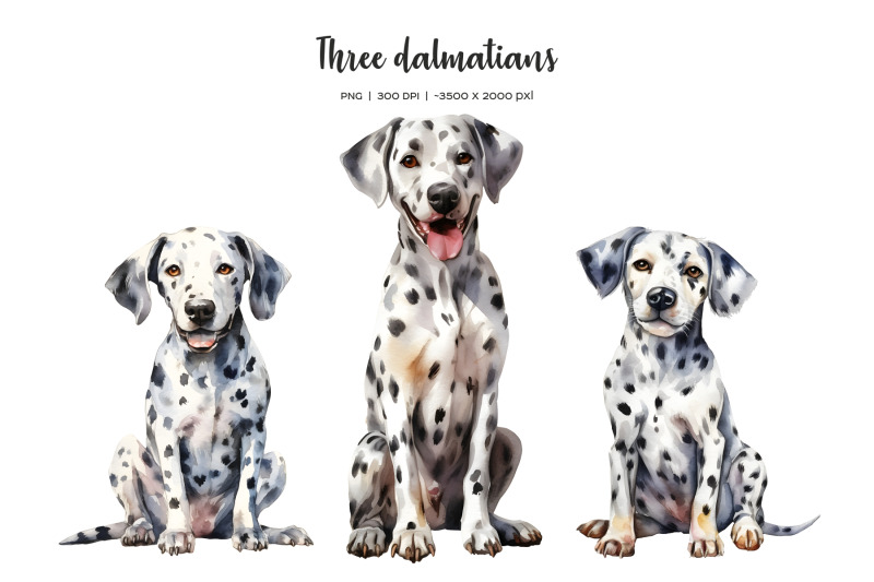 watercolor-christmas-dalmatian-clipart-xmas-dogs-clip-art