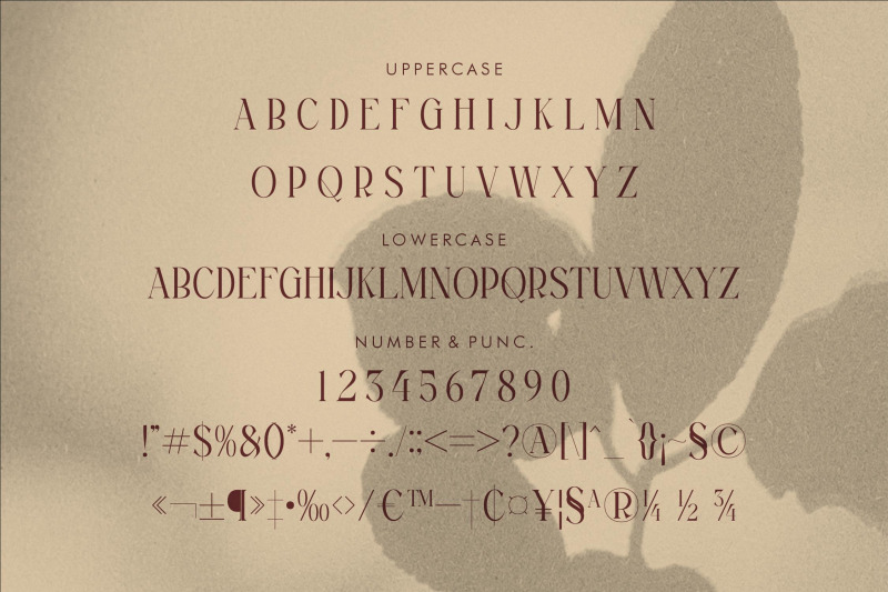 magfire-hyena-typeface