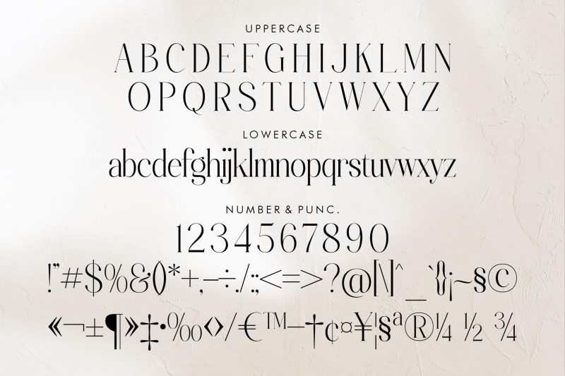 zackerman-typeface