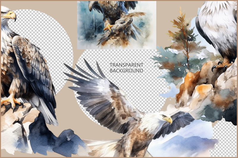 watercolor-bald-eagle-clipart-bundle-bald-eagle-png-bird-set