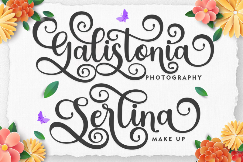 the-gardenia-font-duo