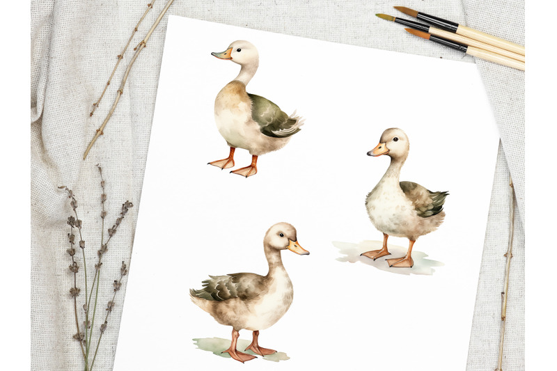 watercolor-duck-clipart-animal-set-nursery-collection