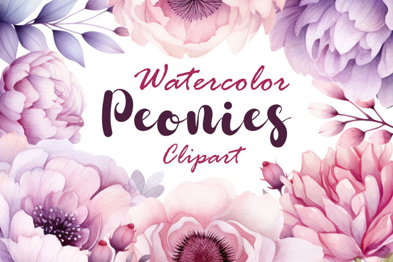 peonies-watercolor-clipart