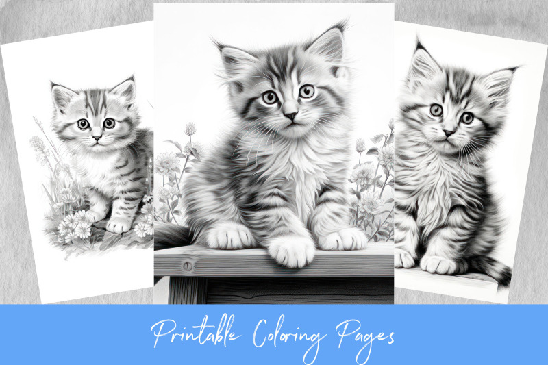 cat-coloring-pages