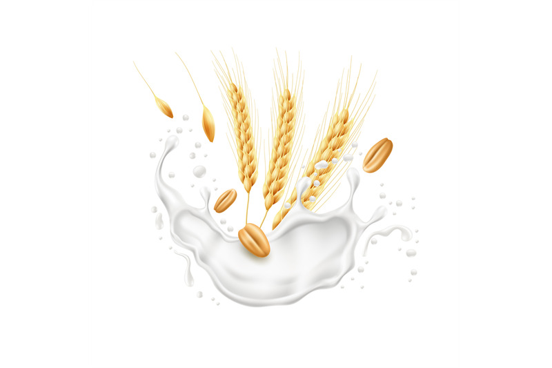 realistic-wheat-ears-with-milk-splash-agricultural-culture-spikelets