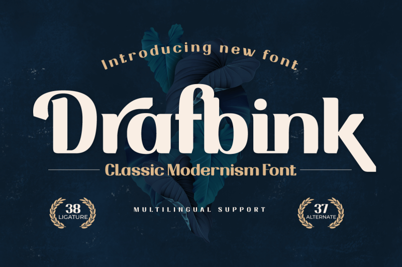 drafbink-serif-classic-modernism