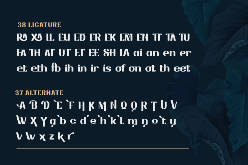 drafbink-serif-classic-modernism