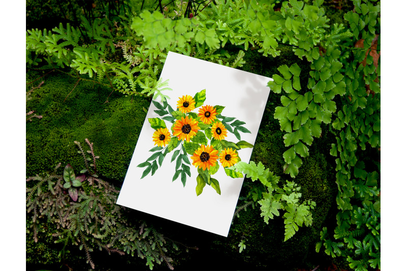 watercolor-sunflower-eucalyptus-clipart