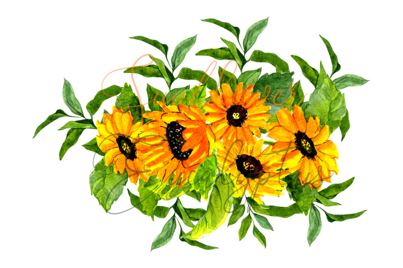 watercolor-sunflower-eucalyptus-clipart