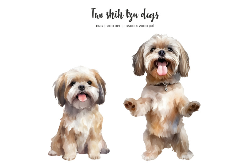 watercolor-christmas-shih-tzu-clipart-xmas-dogs-clip-art