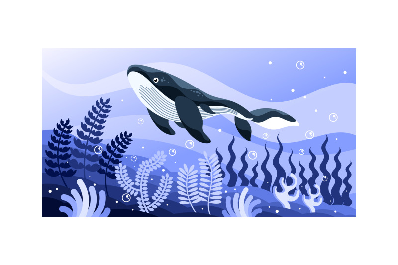 whale-vector-illustration