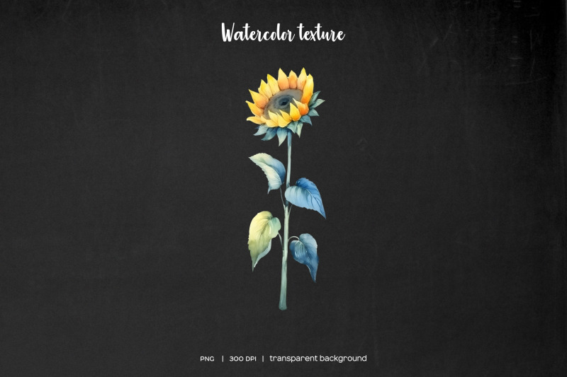 watercolor-sunflower-clipart-summer-yellow-flower-clip-art-rusty-far