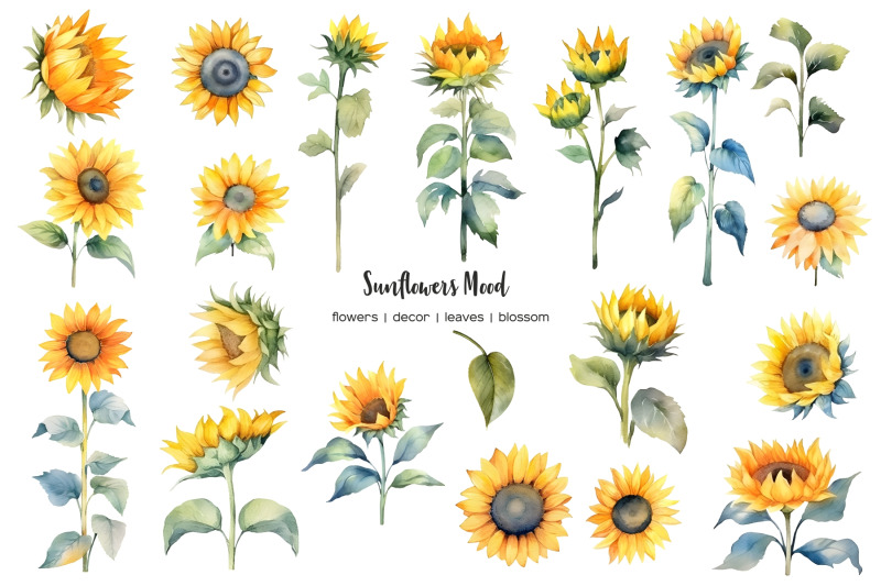 watercolor-sunflower-clipart-summer-yellow-flower-clip-art-rusty-far