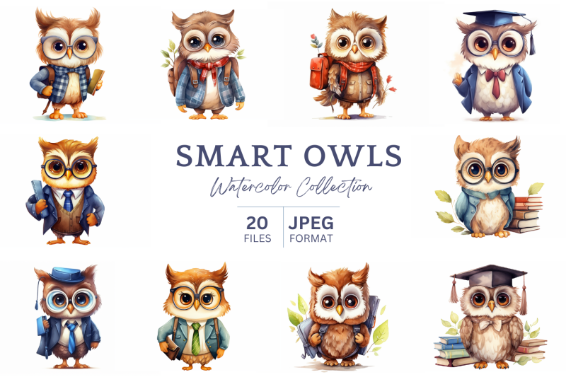 smart-owls-back-to-school