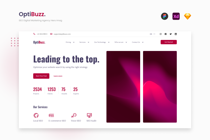 optibuzz-simple-magenta-seo-digital-marketing-agency-hero-image