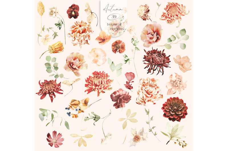 autumn-watercolor-flowers-amp-animals