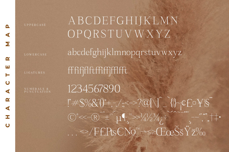 sanfford-typeface