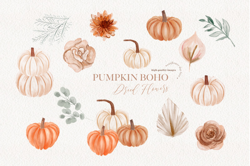 pumpkin-dried-floral-pampas-grass-clipart-little-pumpkin