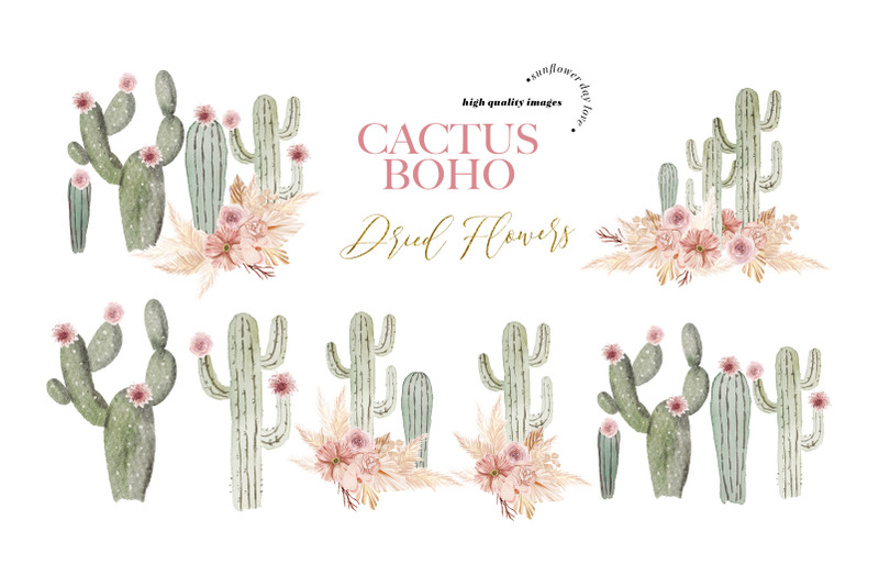 cactus-pink-dried-floral-pampas-grass-clipart-taco-cactus-terracotta