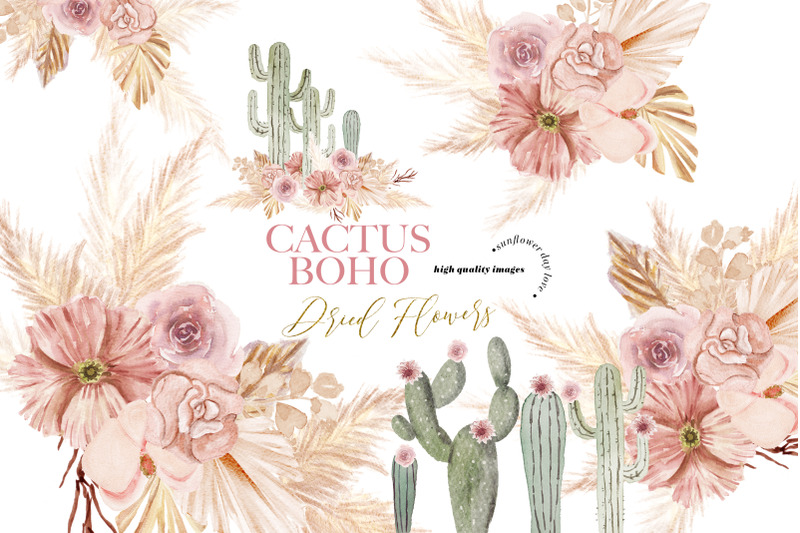 cactus-pink-dried-floral-pampas-grass-clipart-taco-cactus-terracotta