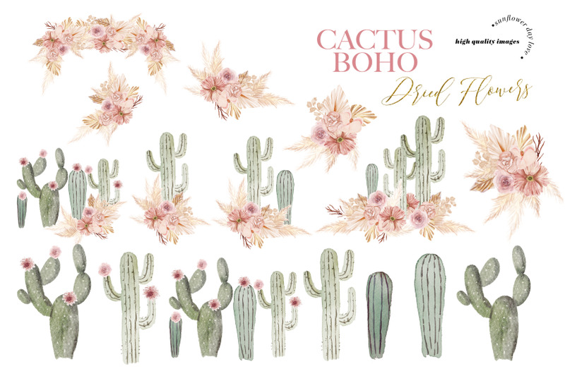 cactus-pink-dried-floral-pampas-grass-clipart-taco-cactus-terracotta