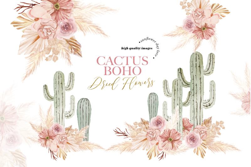 cactus-pink-dried-floral-pampas-grass-clipart-taco-cactus-terracotta