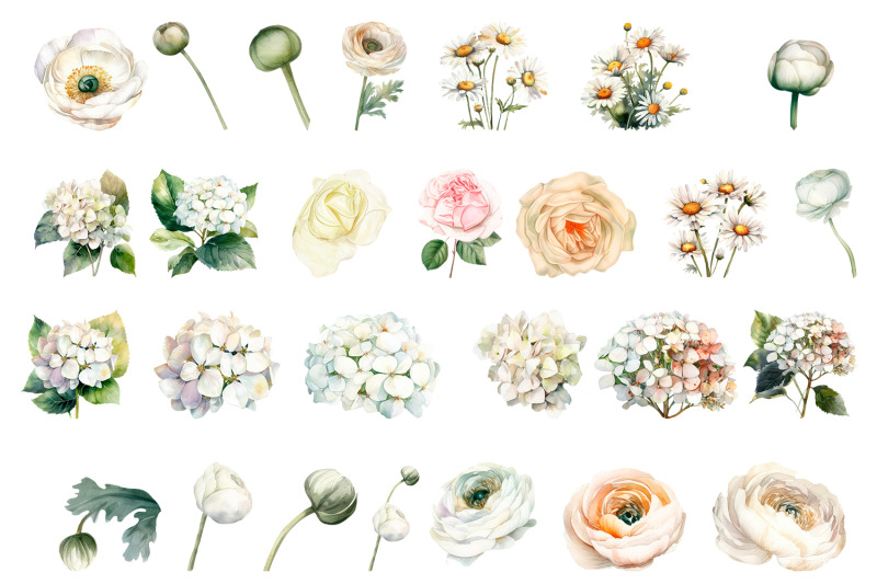 white-flower-watercolor-clipart-collection-bundle