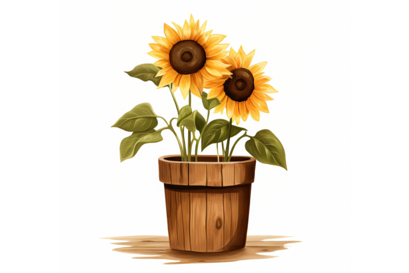 sunny-sunflowers