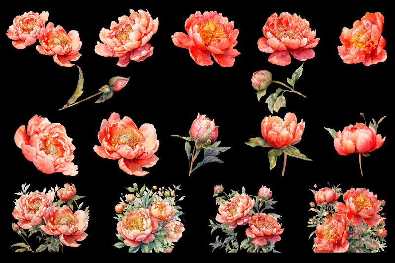 watercolor-peony-flower-clipart-bundle