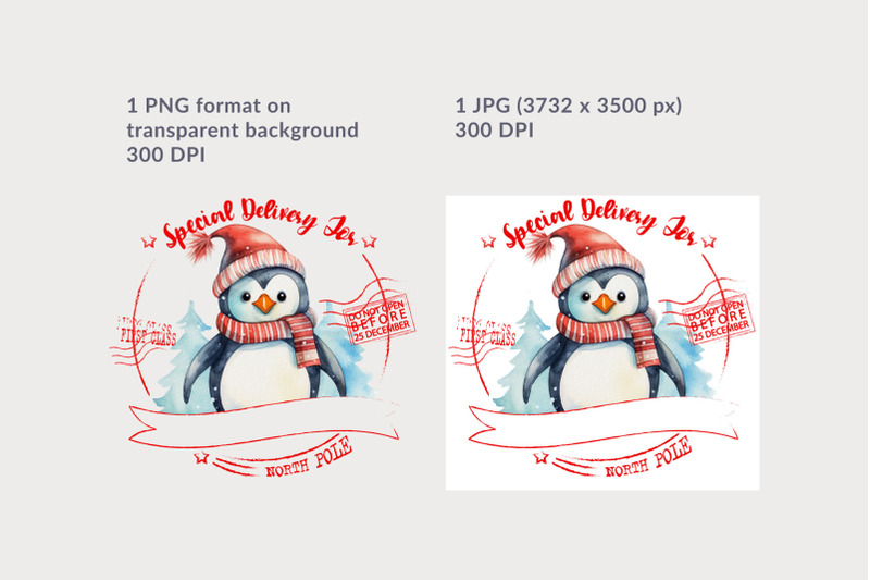 santa-sack-with-funny-christmas-penguin-sublimation